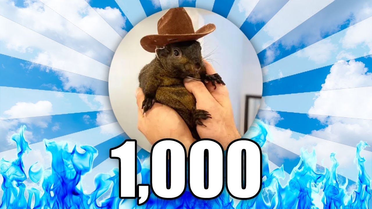 Squirrel Coin What 1,000 PEANUT THE SQUIRREL Coins Will Be Worth In 2025...